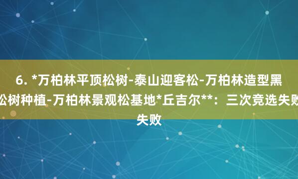 6. *万柏林平顶松树-泰山迎客松-万柏林造型黑松树种植-万柏林景观松基地*丘吉尔**:三次竞选失败