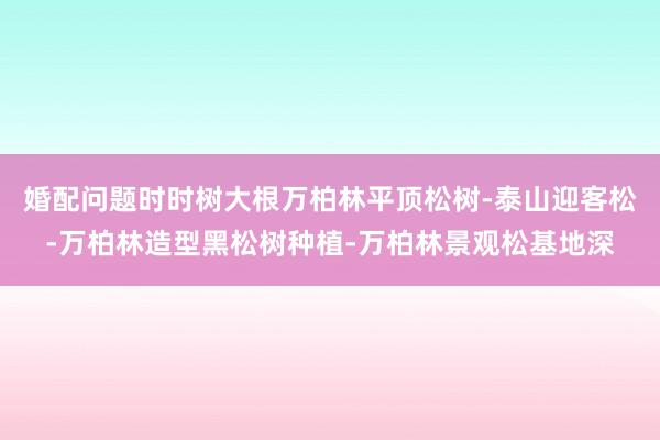 婚配问题时时树大根万柏林平顶松树-泰山迎客松-万柏林造型黑松树种植-万柏林景观松基地深
